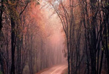 竞彩足球胜平负平台该如何选择?有哪些注意事项?